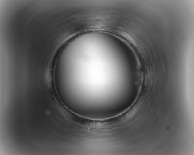 X0000088681458200706071416