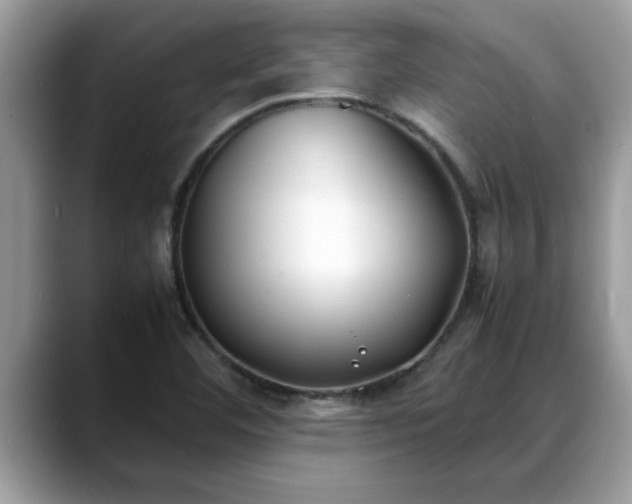 X0000088681460200706071416