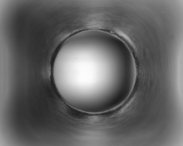X0000088681461200706071416