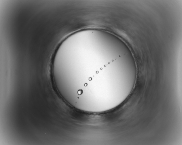 X0000088681463200706071416