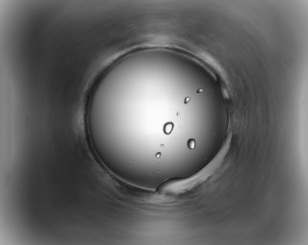 X0000088681464200706071416