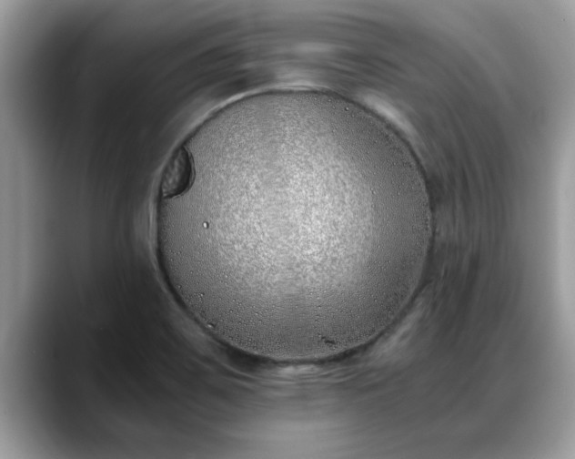 X0000088681467200706071416