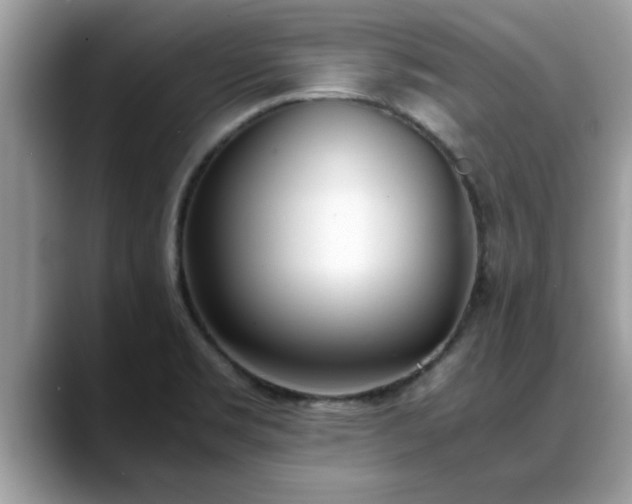X0000088681469200706071416