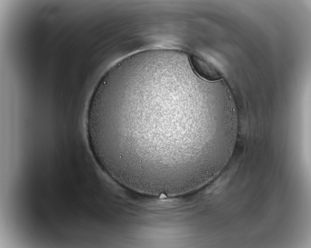 X0000088681471200706071416