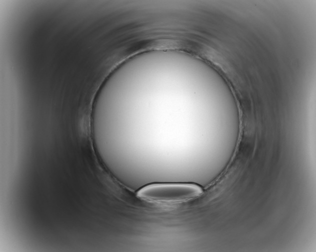 X0000088681473200706071416