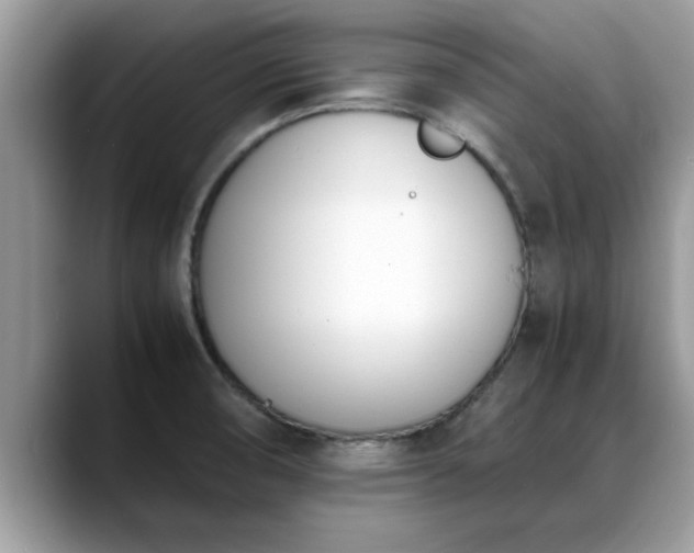X0000088681474200706071416