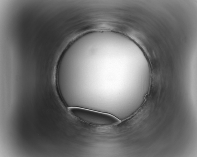 X0000088681477200706071416