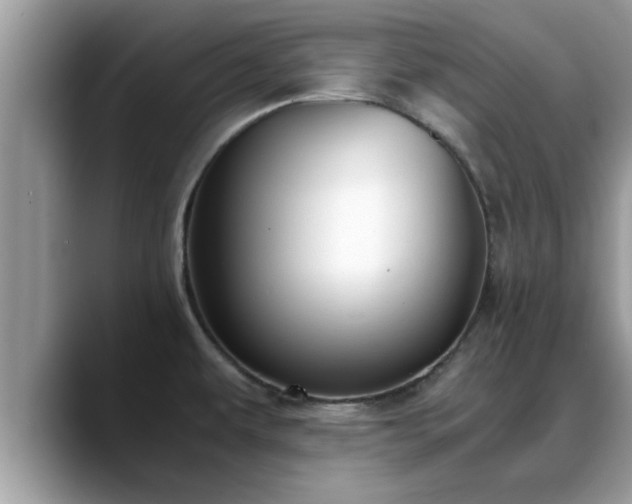 X0000088681479200706071416