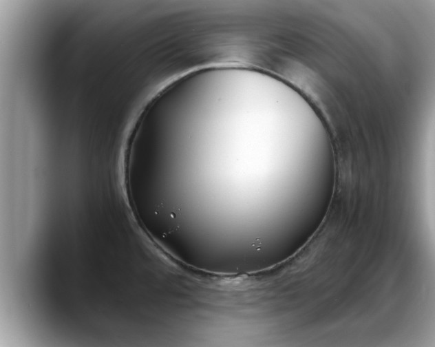 X0000088681480200706071416