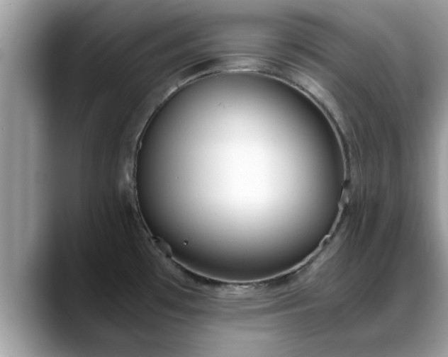 X0000088681481200706071416