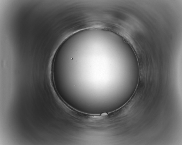 X0000088681483200706071416