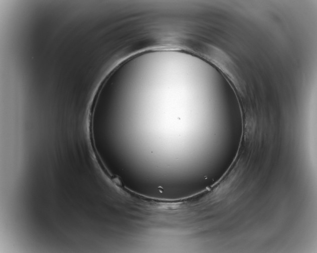 X0000088681484200706071416