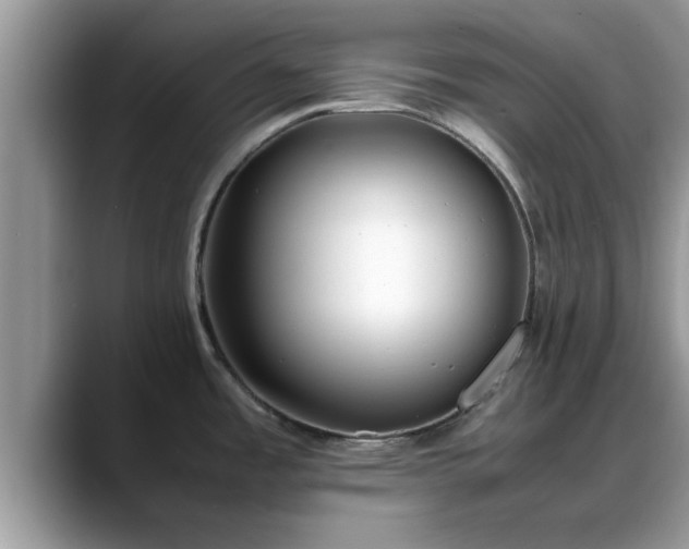 X0000088681485200706071416
