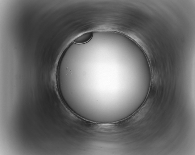 X0000088681486200706071416