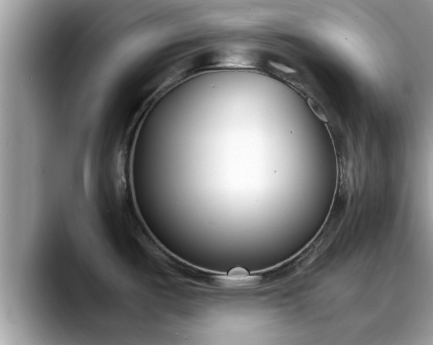 X0000088681487200706071416