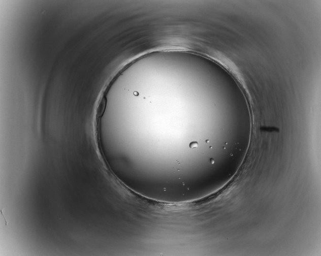 X0000088681488200706071416