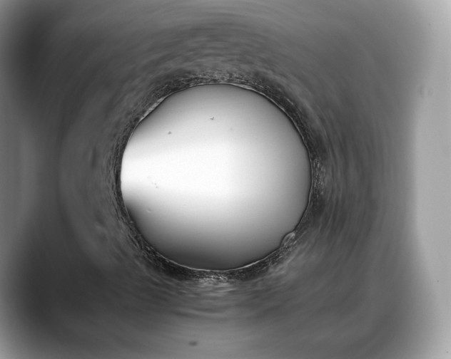 X0000088681489200706071415