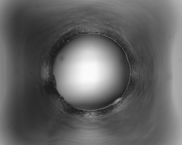 X0000088681490200706071415