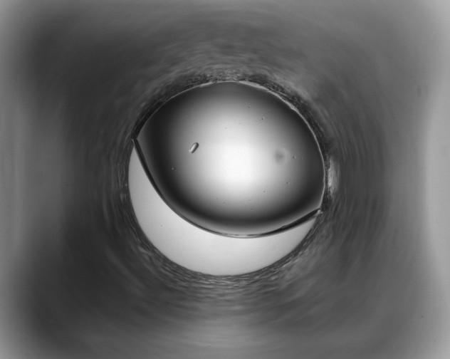 X0000088681492200706071415