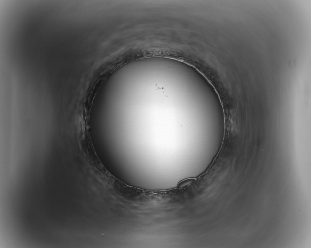 X0000088681493200706071415
