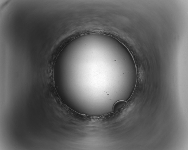 X0000088681494200706071415