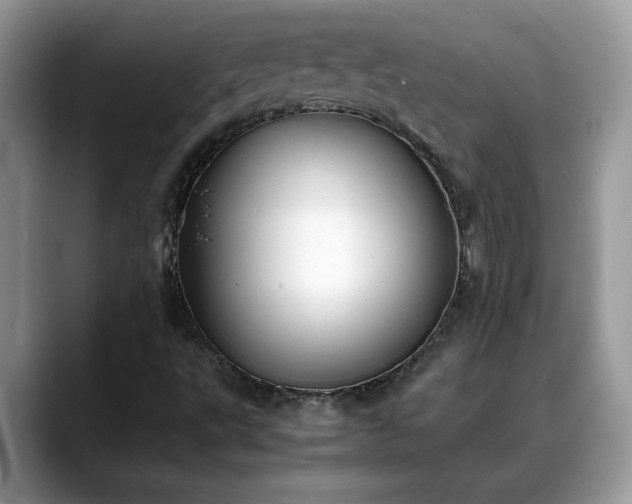 X0000088681495200706071415