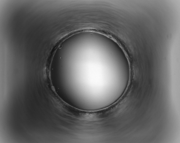 X0000088681497200706071415
