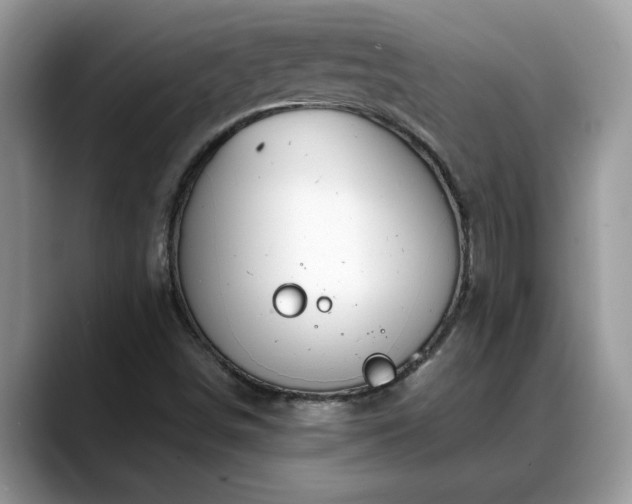 X0000088681498200706071415