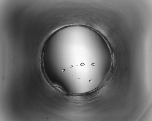 X0000088681500200706071415