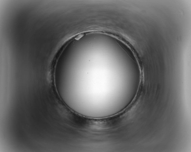 X0000088681501200706071415
