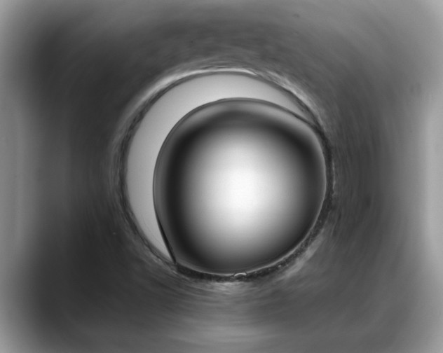 X0000088681502200706071415