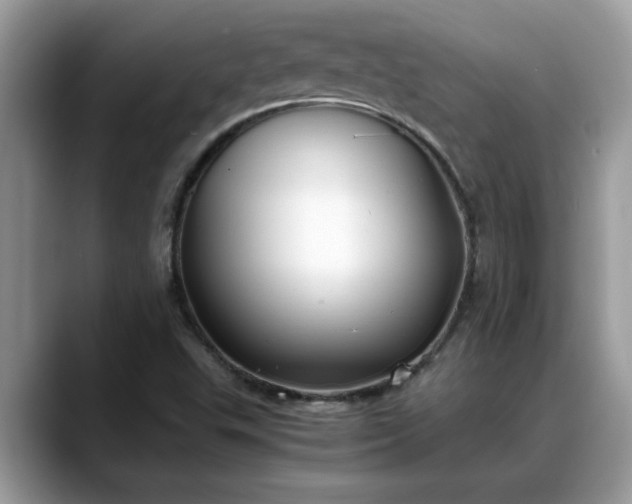 X0000088681503200706071416