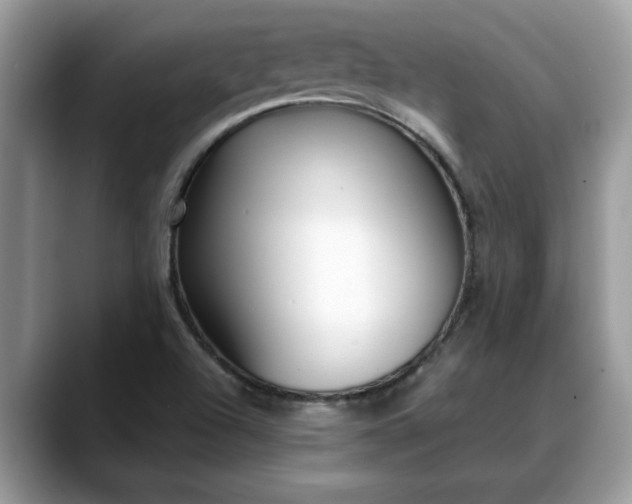 X0000088681504200706071416