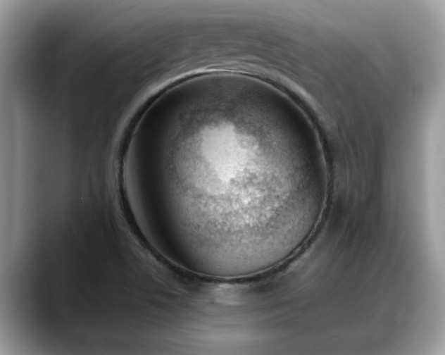 X0000088681506200706071416
