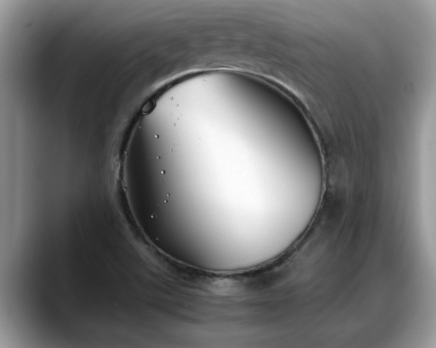 X0000088681507200706071416
