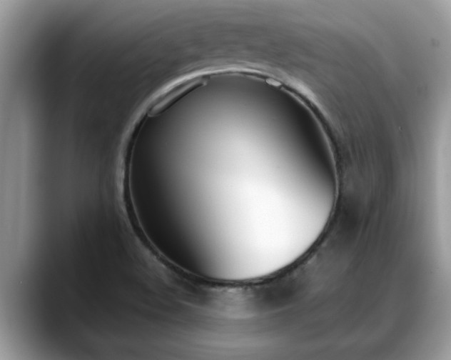 X0000088681508200706071416