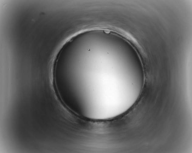 X0000088681512200706071416
