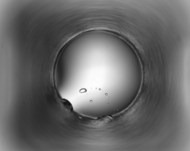 X0000088681513200706071416