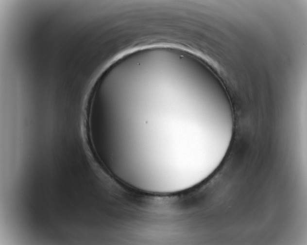 X0000088681518200706071416