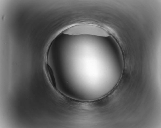 X0000088681520200706071416