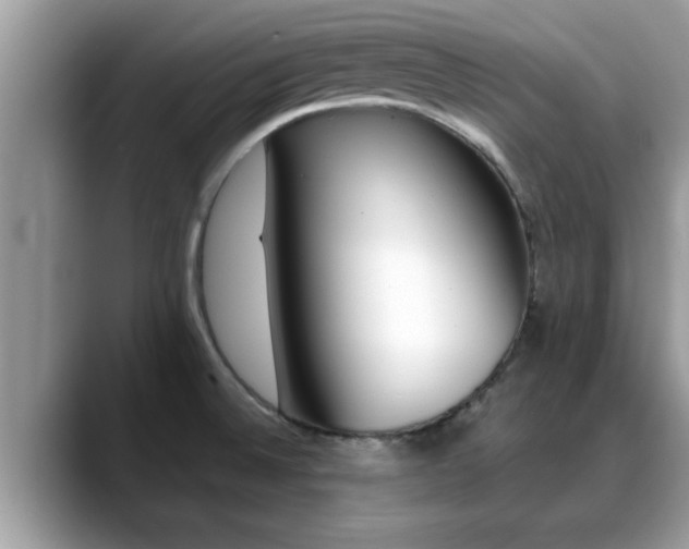 X0000088681524200706071416