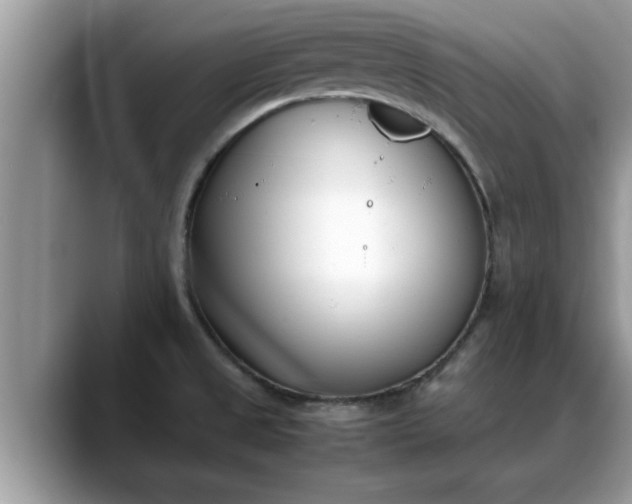 X0000088681525200706071416