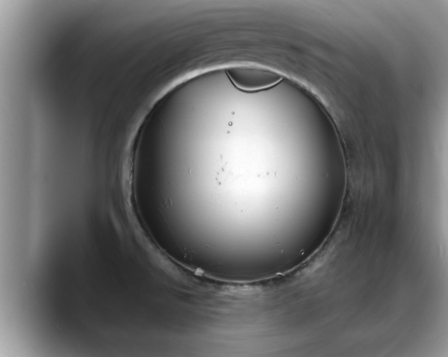 X0000088681526200706071416