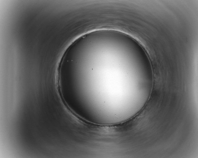 X0000088681527200706071416