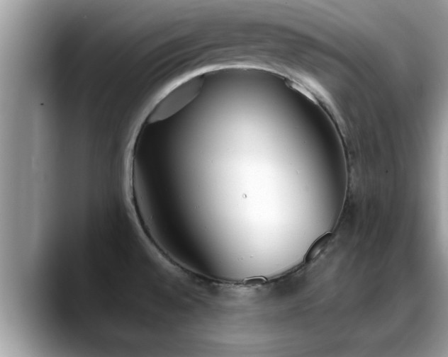 X0000088681528200706071416