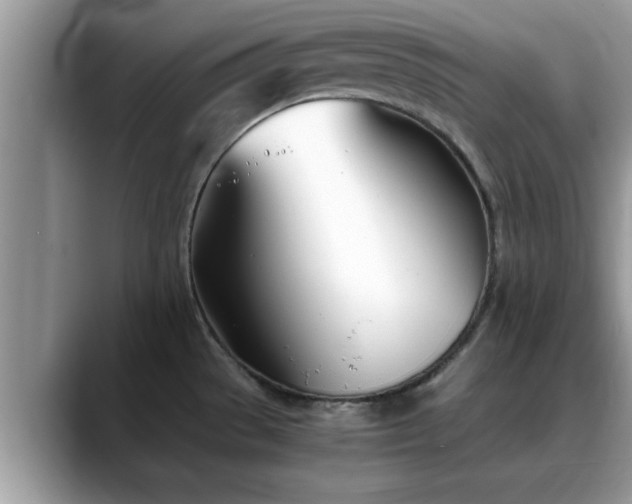 X0000088681529200706071416