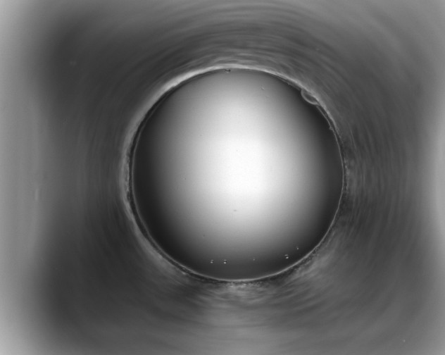 X0000088681531200706071416