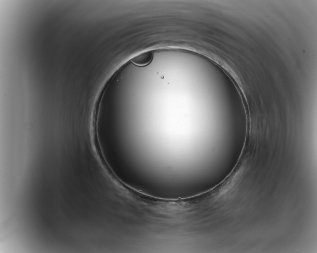 X0000088681533200706071416