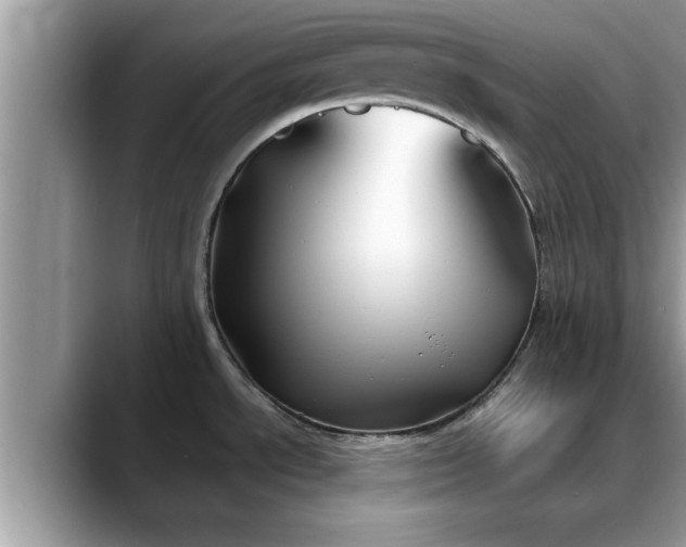 X0000088681534200706071416