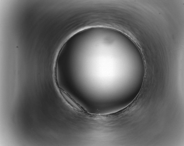 X0000088681536200706071416
